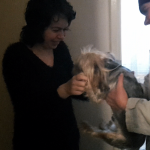 Day 207: March 22nd, 2015 – “Reunion with the little Yorkie”