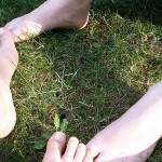 Day 314: July 8th, 2015 – “Bare feet”