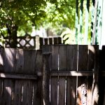 Sfârșit de sezon karmic în familie, punctul 0 (arama dată pe față)